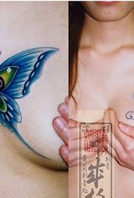 женски цвят на гърдите синя пеперуда татуировка оценка оценка 56150 - кожа бяла красота гърдите лотос татуировка картина модел