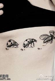 секси слика на седум starвездени модели на тетоважи на бубамара