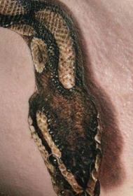 mannlig bryst personlighet 3d slange tatovering