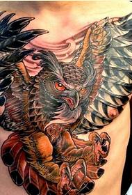osebnost moški prsni koš dominirajoča tetovaža sove