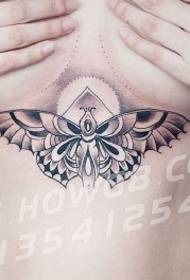 ຮູບແບບ tattoo moth ຫນ້າເອິກ