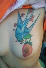 girl chest sexy beautiful little swallow tattoo picture
