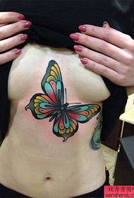 disegno del tatuaggio farfalla sul petto