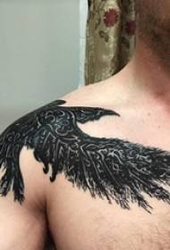 plecu vienkāršs tetovējums vīrieša pleca melnas vārnas tetovējums attēls