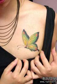 frumusețe piept model de tatuaj fluture culoare