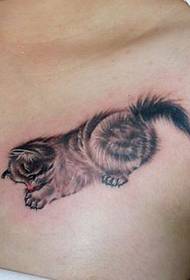 beauty chest cute kitten tattoo pattern