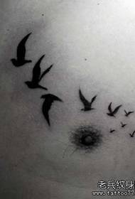 jongens borst een duif tattoo patroon