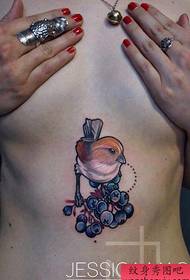 Popüler bir Göğüs kuşu dövme desenini takdir edin