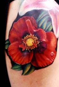 shoulder color realistic poppies with dewdrop tattoo