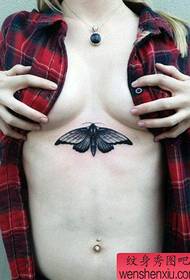 a beautiful butterfly tattoo pattern on the chest 57600 - a chest Popular sika deer tattoo pattern