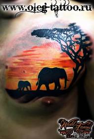 viro brusto malvarmeta elefanto tatuaje ŝablono