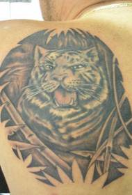 shoulder black and white snow tiger tattoo picture