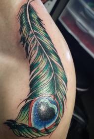 male shoulder Dark green peacock feather tattoo pattern