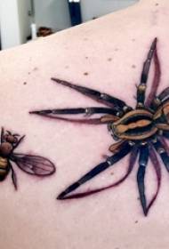 蜘蛛紋身男孩肩蜜蜂和蜘蛛紋身圖片
