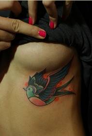 kvinnlig bröstmode Trevligt utseende färg sväljer tatuering mönster bild