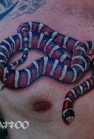 mans bröst vackra och vackra europeiska och amerikanska färg orm tatuering mönster