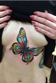 ຫນ້າເອິກຄວາມງາມພຽງແຕ່ສີ butterfly tattoo ຮູບພາບທີ່ສວຍງາມ