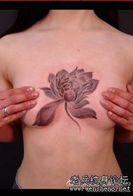 Lotus tattoo pattern: chest lotus tattoo pattern