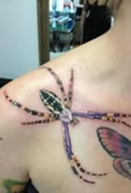 cool spider shoulder tattoo
