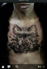 boys popular chest owl tattoo pattern