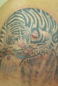 Neĝo tigro tatuaje ŝablono sur la ŝultro monto