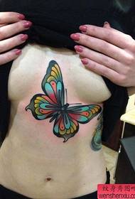 grožio krūtinė gražios spalvos drugelio tatuiruotė