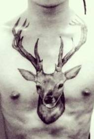 chest handsome deer tattoo