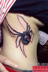 petto di bellezza un modello di tatuaggio ragno popolare molto bello