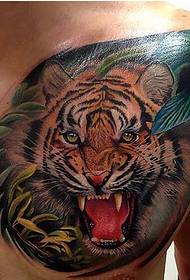 male chest personality fashion domineering color tiger head tattoo picture