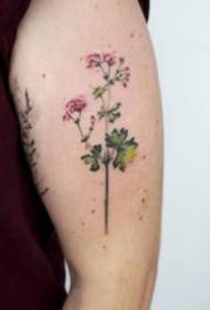 9 malých kvetinových tetovacích obrázkov na paži