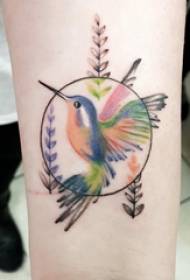 Tatouage bras du garçon oiseau sur l'image de tatouage rond et oiseau
