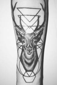 Arm tattoo picture girl arm on geometry and deer tattoo picture