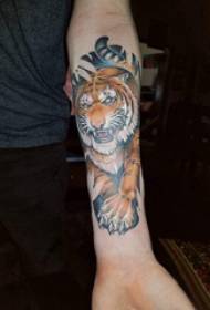 Baile Animal Tattoo Male Student Arm Boyed Tiger Tattoo T расм