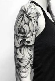 Black Grey Chrysanthemum: A nice black and gray chrysanthemum tattoo on the arms and legs