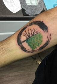 Plant tattoo boy's arm on round and big tree tattoo picture