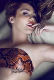 Vegrandis parum personalitatem et stigmata exemplo Miley Cyrus
