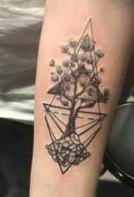Plant tattoo girl's arm on rhombus and life tree tattoo picture