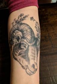 Sheep head tattoo boy's arm on plant and goat head tattoo picture