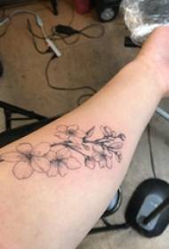 Cherry blossom tattoo, girl's arm, black ash, cherry blossom tattoo picture