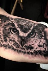 Owl tattoo boy's arm on black owl tattoo picture