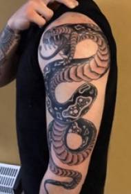 Viper tattoo pattern male boy arm on black gray snake tattoo picture