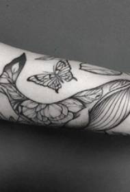 Baile animal tattoo boy butterfly and whale tattoo picture on arm