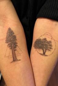 Plant tattoo couple arms on geometry and life tree tattoo pictures