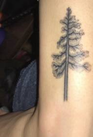 Plant tattoo, boy's arm, dense tree tattoo picture