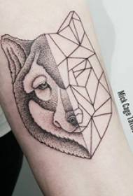Wolf κεφάλι τατουάζ εικόνα βραχίονα κορίτσι μαύρο ράψιμο λύκος κεφάλι τατουάζ εικόνα