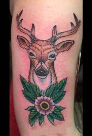 Tatuaje cu animale Baile Lively Tatuaje cu animale Băile