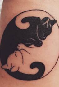 Little fresh cat tattoo girl's arm on the yin and yang cat tattoo picture