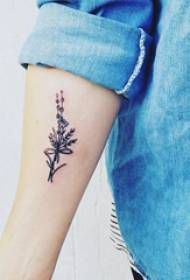 Small fresh plant tattoos simple plant tattoo pictures on girls arm