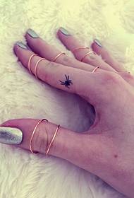 Con nhện đẹp trên ngón tay