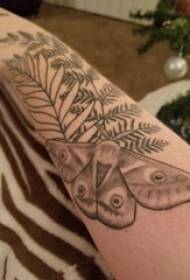 Arm tattoo material girl arm and plant moth tattoo picture
